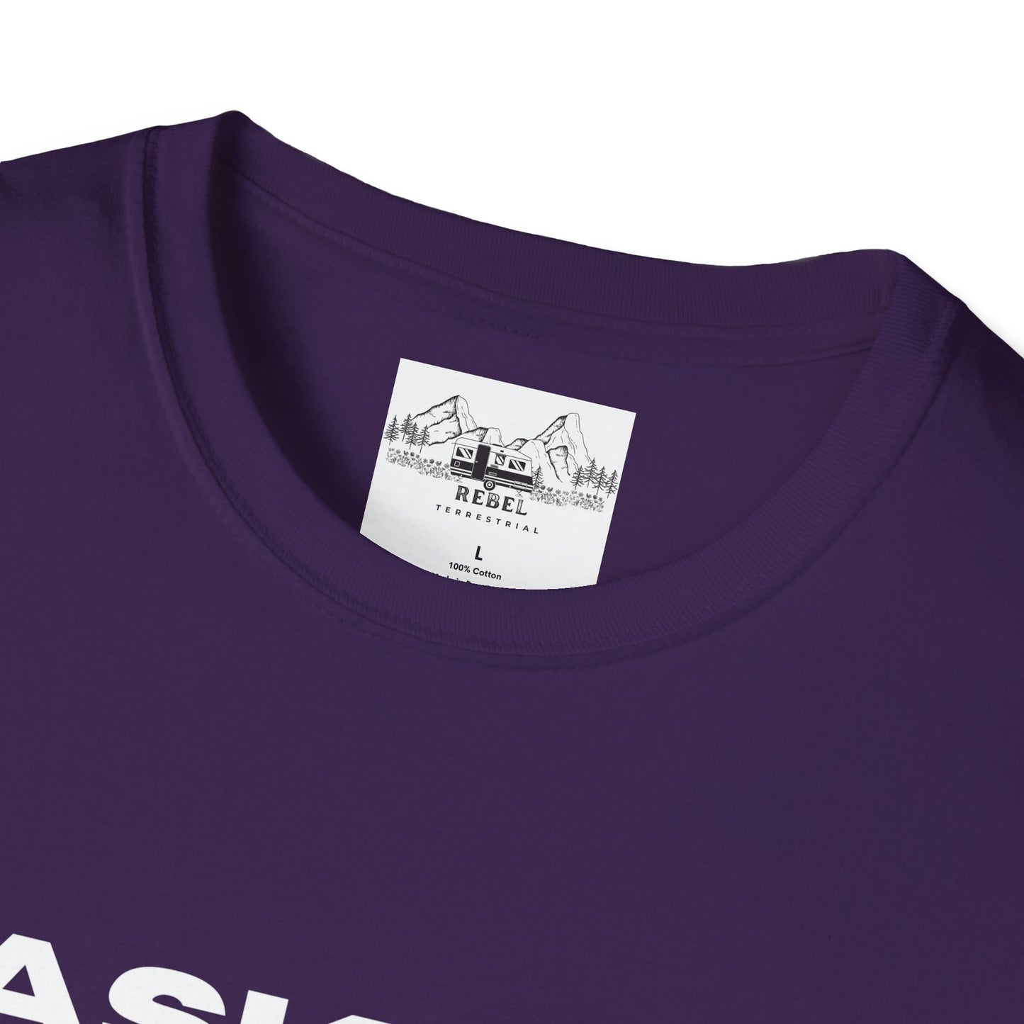 Ask Me About My Ninja Disguise T-Shirt – Unisex Softstyle Tee for Stealthy Jokesters