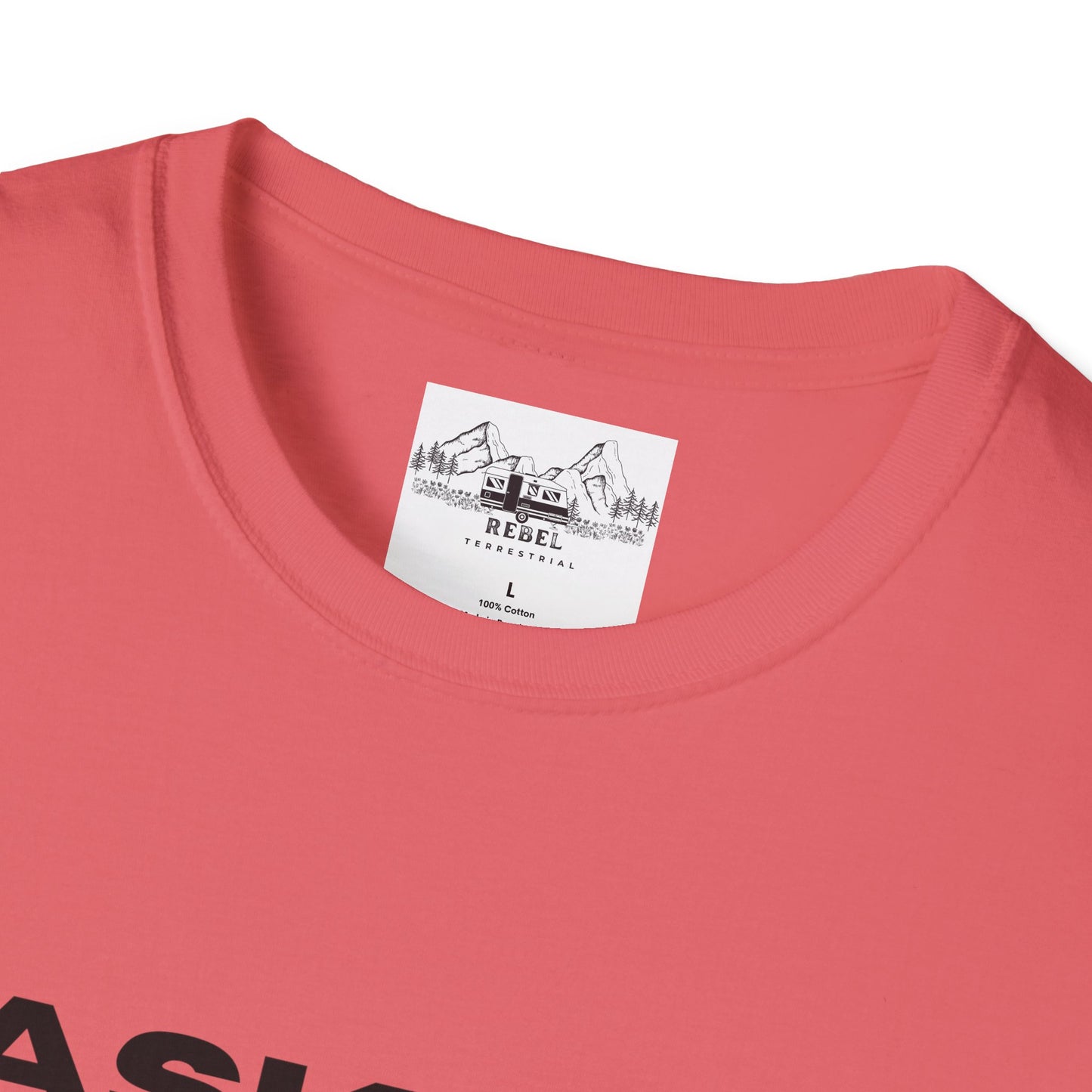 Ask Me About My Ninja Disguise T-Shirt – Unisex Softstyle Tee for Stealthy Jokesters
