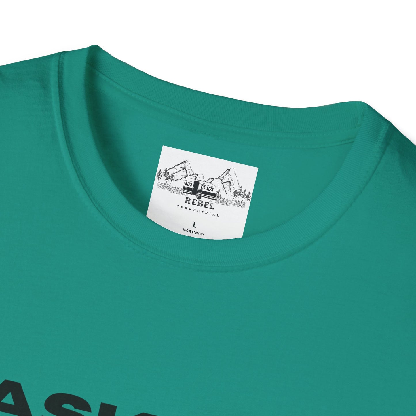 Ask Me About My Ninja Disguise T-Shirt – Unisex Softstyle Tee for Stealthy Jokesters
