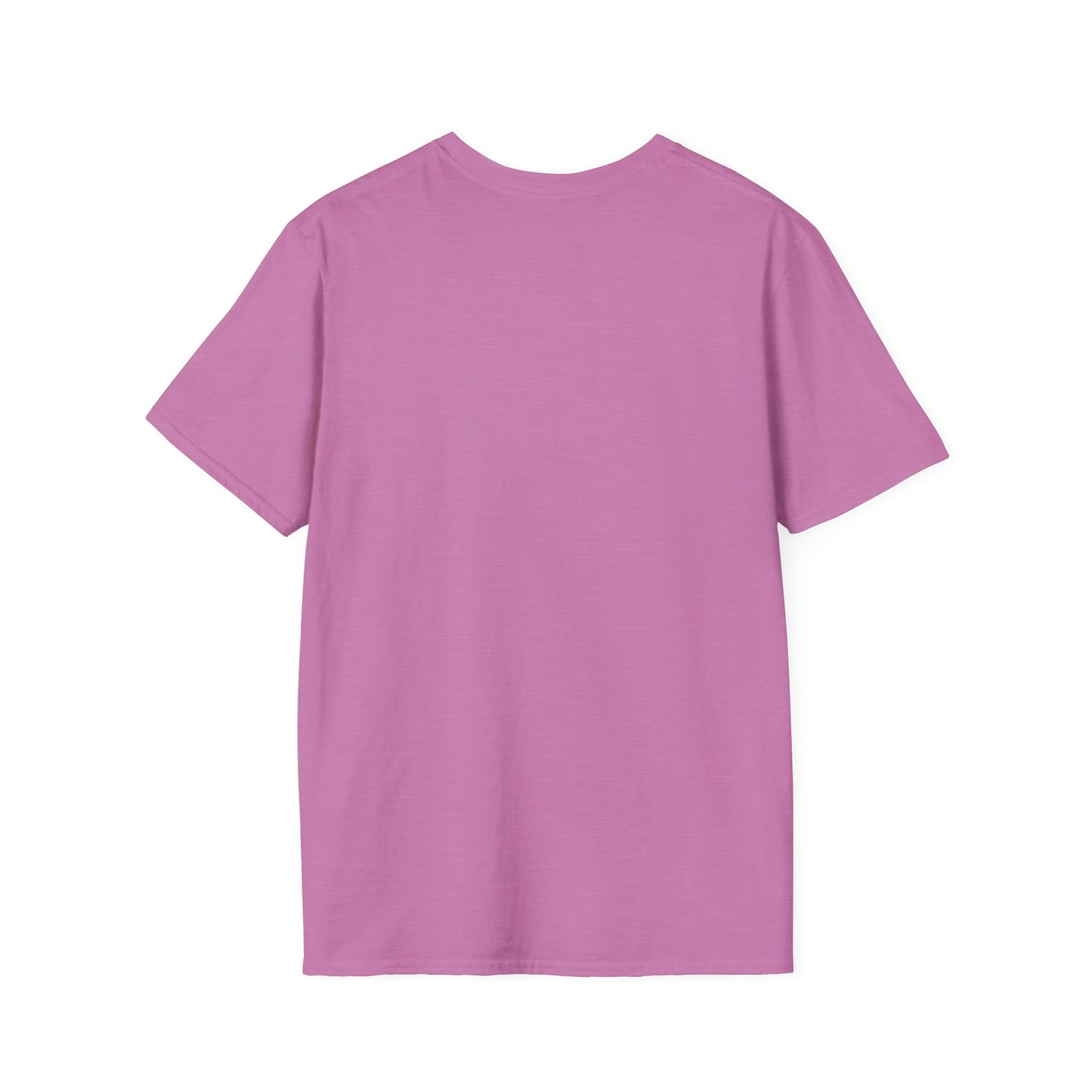 As Clean as the Creek I Bathed In – Mountain Creek Unisex Softstyle T-Shirt