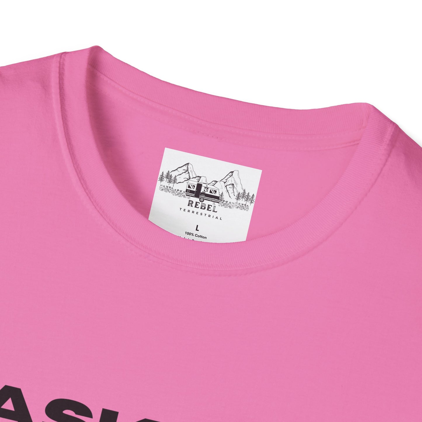 Ask Me About My Ninja Disguise T-Shirt – Unisex Softstyle Tee for Stealthy Jokesters