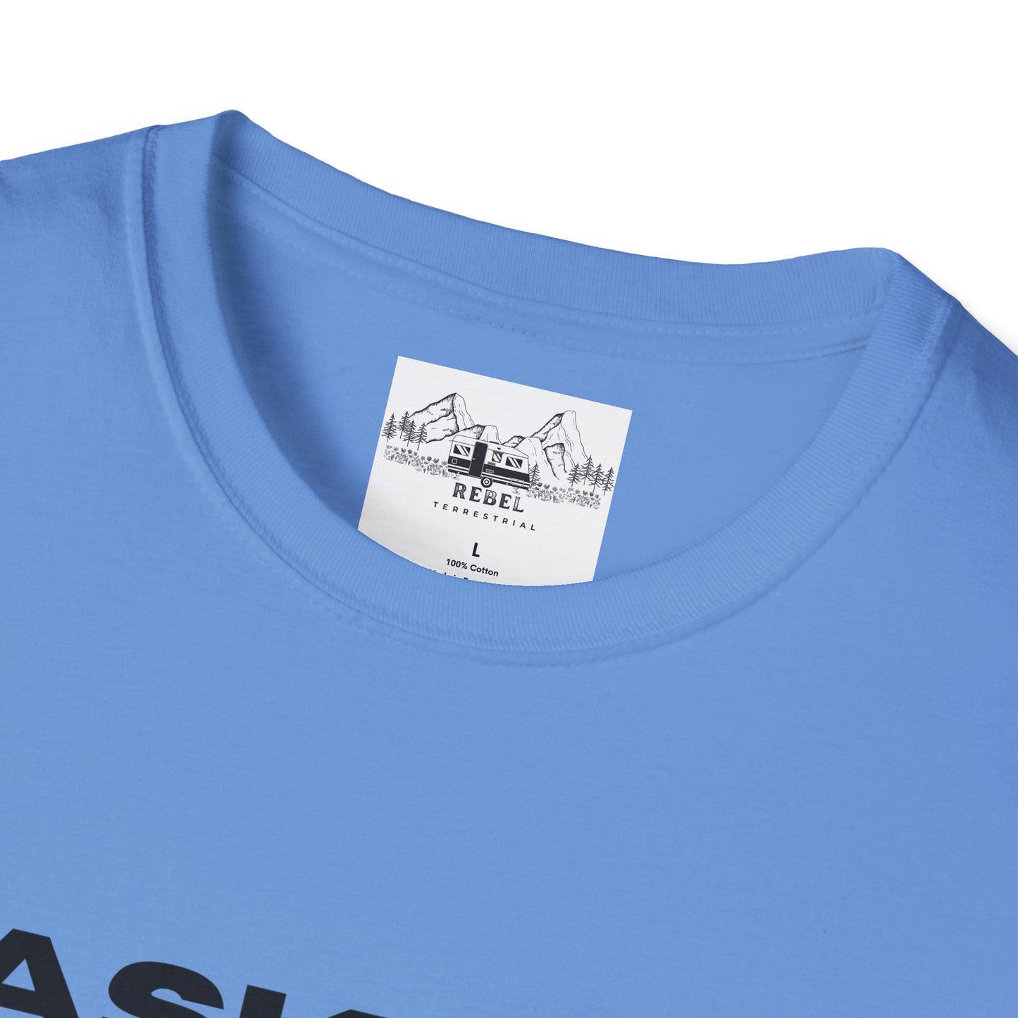 Ask Me About My Ninja Disguise T-Shirt – Unisex Softstyle Tee for Stealthy Jokesters