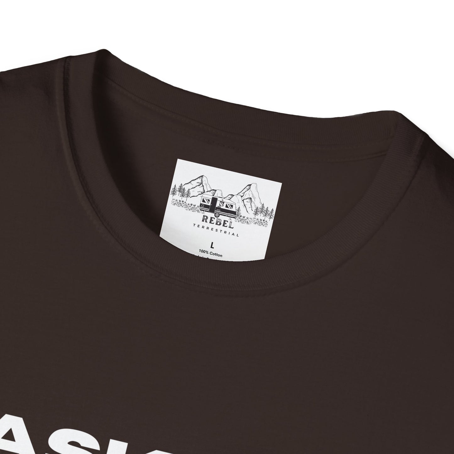 Ask Me About My Ninja Disguise T-Shirt – Unisex Softstyle Tee for Stealthy Jokesters