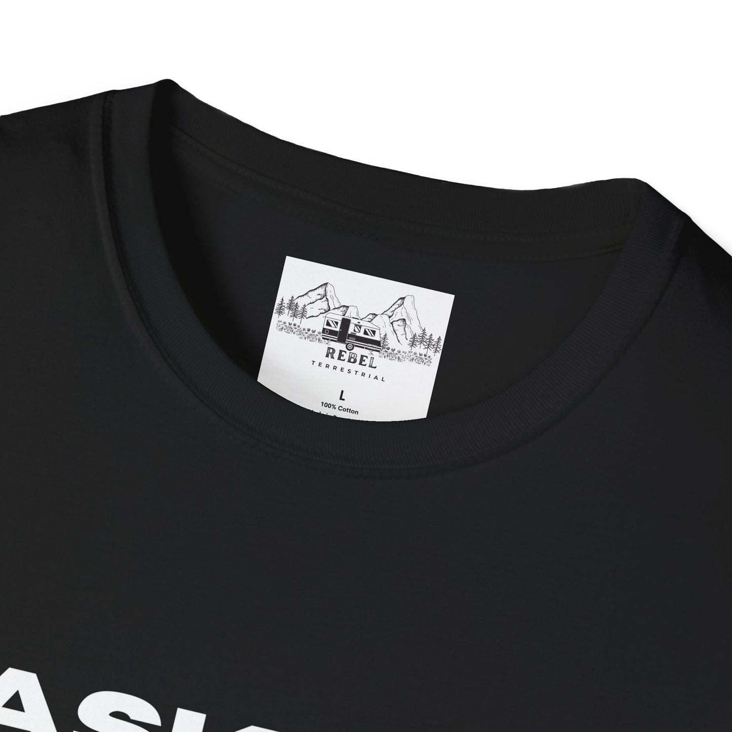 Ask Me About My Ninja Disguise T-Shirt – Unisex Softstyle Tee for Stealthy Jokesters