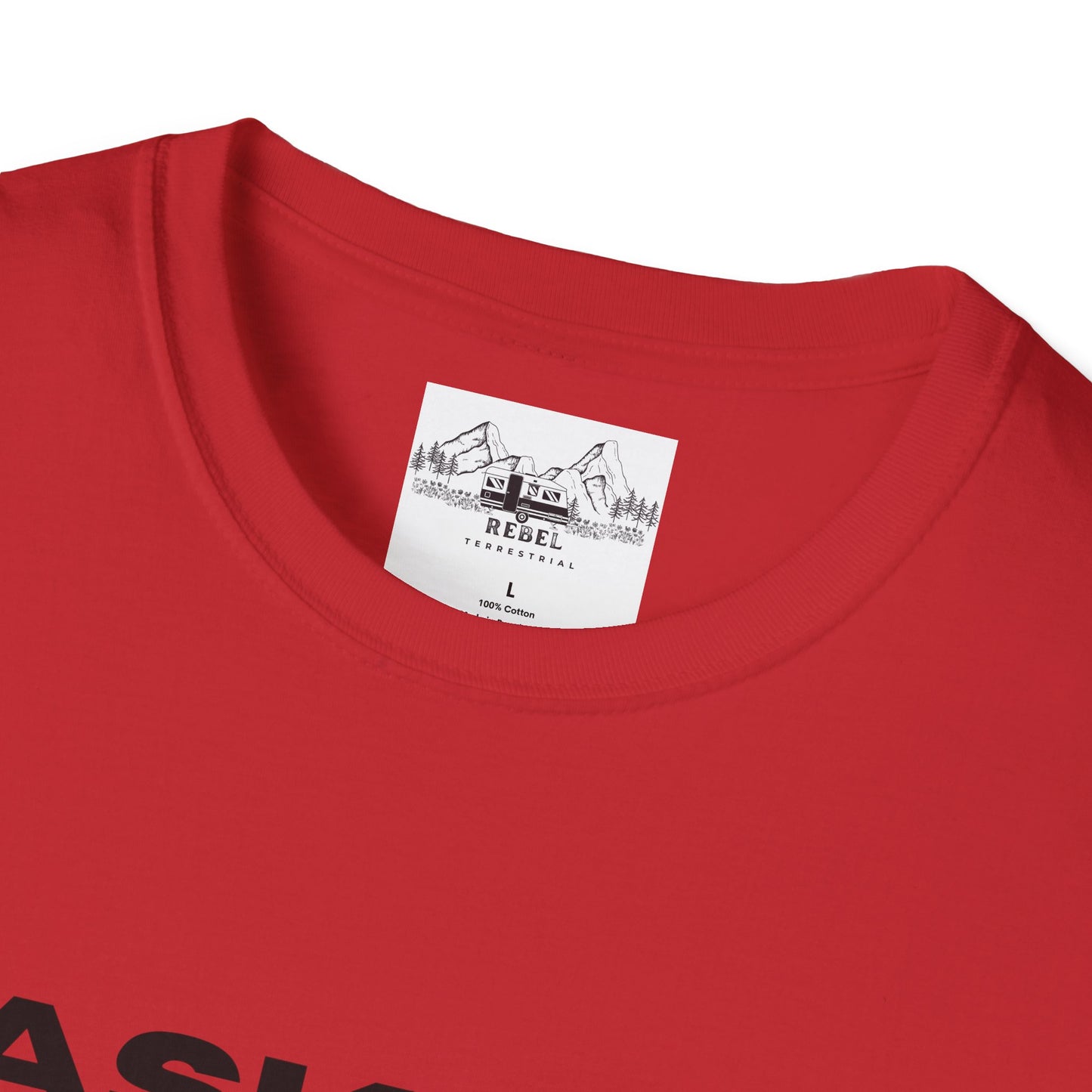 Ask Me About My Ninja Disguise T-Shirt – Unisex Softstyle Tee for Stealthy Jokesters