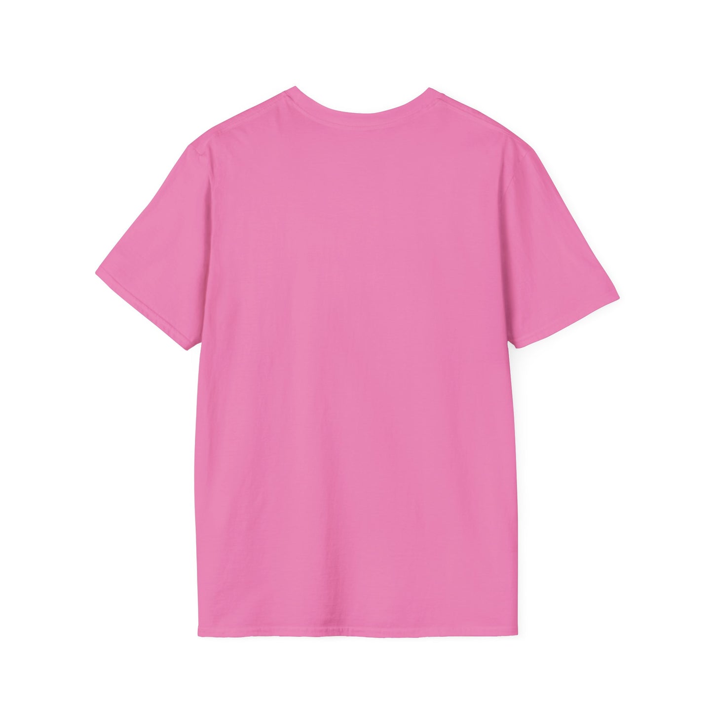 Not All Who Wander Are Lost — Some Are Just Looking for Really Cool Rocks | Unisex Softstyle T-Shirt