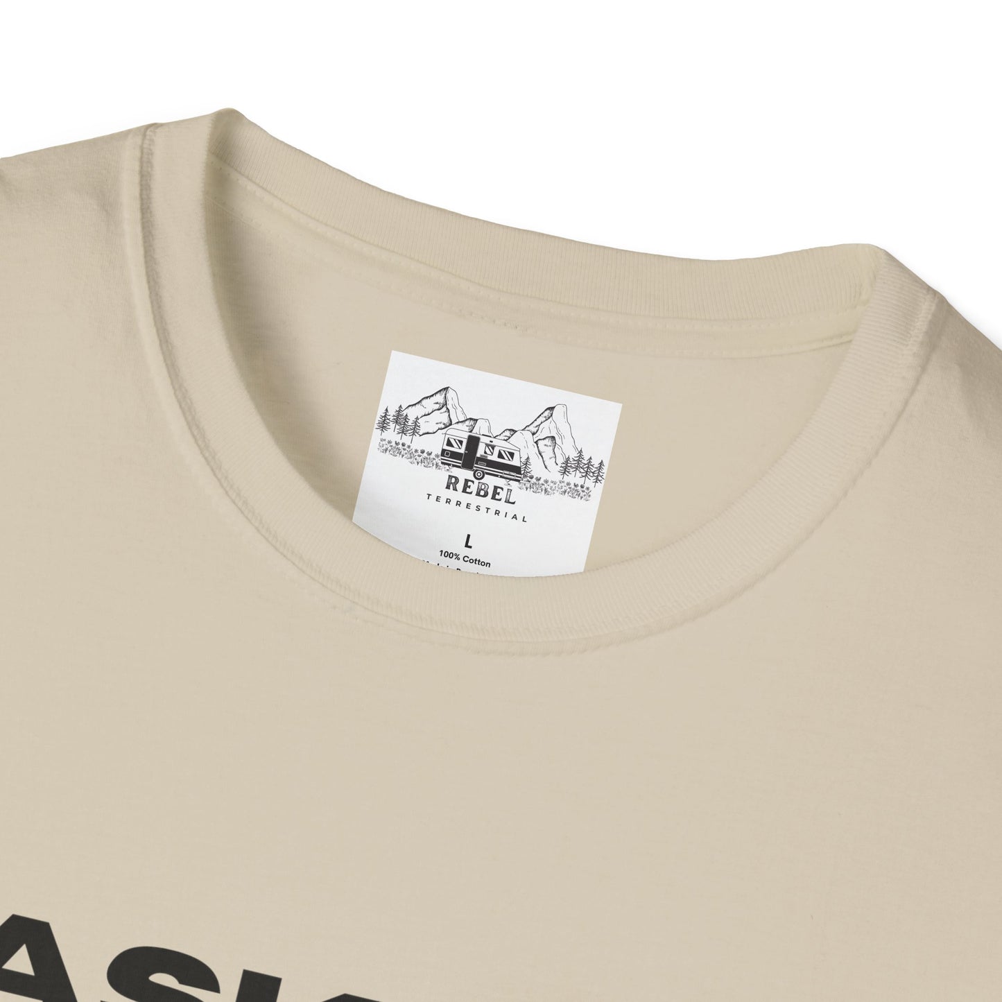 Ask Me About My Ninja Disguise T-Shirt – Unisex Softstyle Tee for Stealthy Jokesters