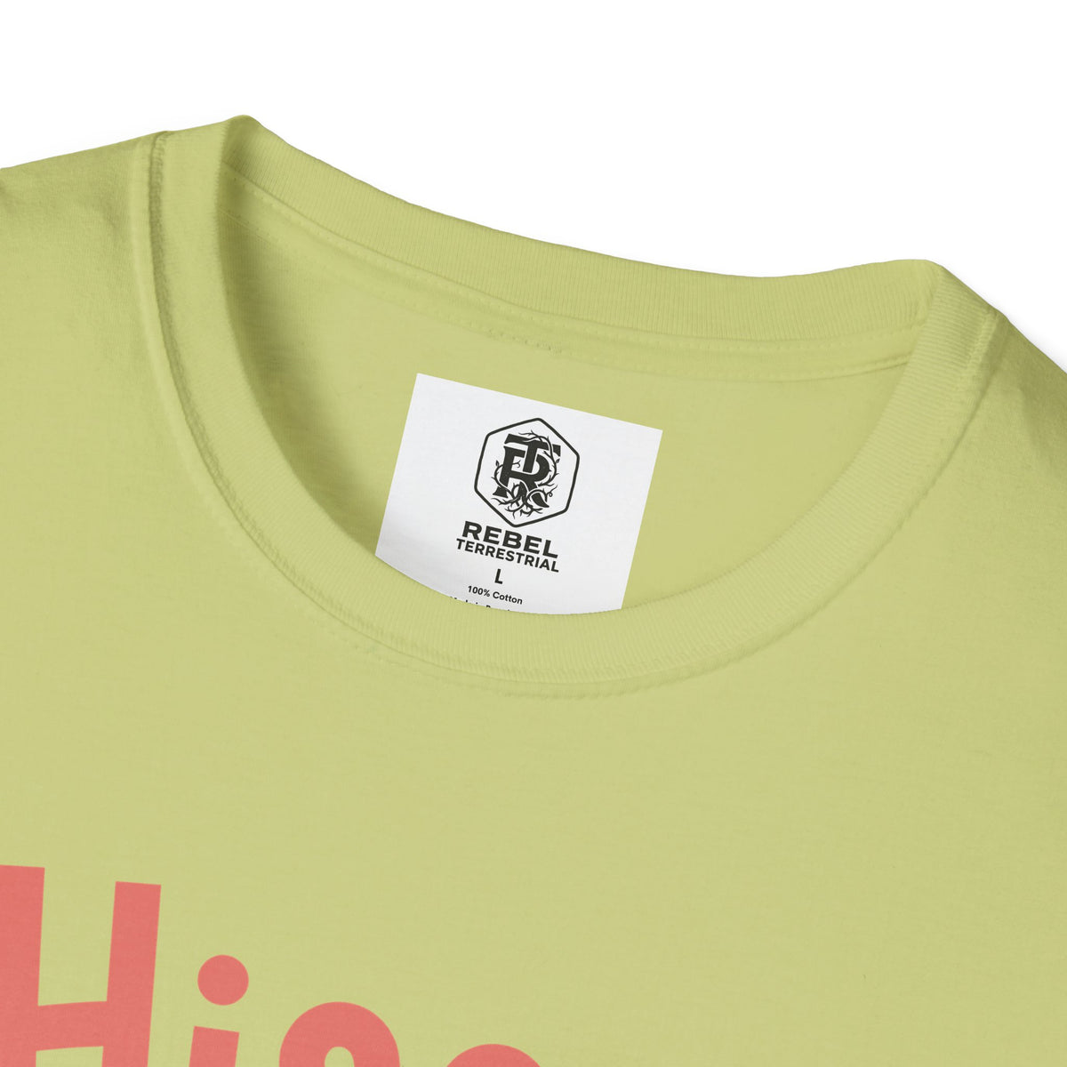 Hissy Fit Unisex Softstyle T-Shirt – Funny Southern Saying